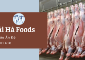 Thái Hà Foods đơn vị cung cấp thịt trâu Ấn Độ đông lạnh giá rẻ, chất lượng tại TP.HCM