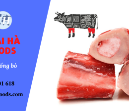 Thái Hà Foods: Cung cấp xương ống bò tươi ngon mỗi ngày!