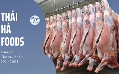 Thái Hà Foods chuyên cung cấp thịt trâu Ấn Độ chất lượng tại HCM